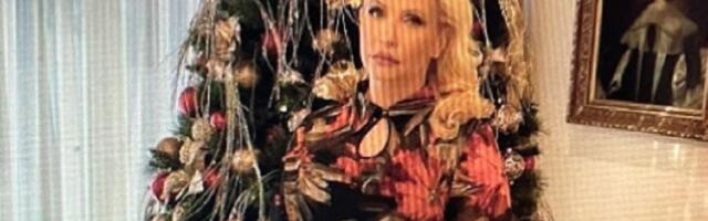 KOMEDIJA Božićka se kamuflirala u jelku (FOTO)