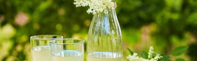 Sok od ove biljke biće pravi letnji hit, kažu da je zdraviji čak i od zove