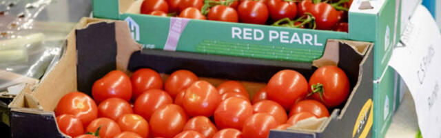 ЕУ пооштрава критеријуме за увоз хране