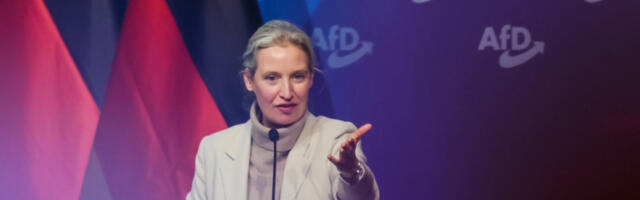 Алис Вајдел: Фридрих Мерц је полудео