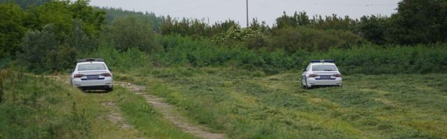 (UZNEMIRUJUĆE) Misterija na severu Srbije: Leš životinje koja ne živi na ovim prostorima bačen u kanal