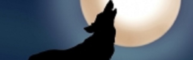 Čopor vukova u Rusiji ne da mira stanovnicima ovog sela (VIDEO)