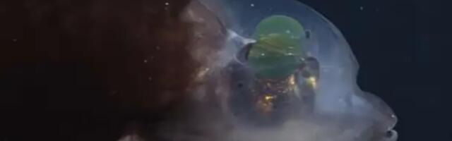 Istraživači po prvi put snimili ribu providne glave