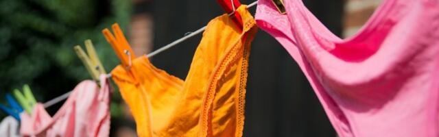 "GAĆE kao DOKAZ": Zakopala donji veš u baštu, a onda se dogodilo nešto neočekivano (FOTO)