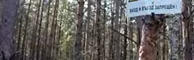 Potpuno su odsečena od matice, posle velike tragedije su ostala potpuno napuštena (VIDEO)