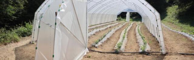 Donirana 34 plastenika poljoprivrednim proizvođačima iz Lučana