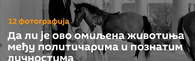 Да ли је ово омиљена животиња међу политичарима и познатим личностима