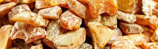 Pronađen jedinstveni ćilibar star između 30 i 50 miliona godina