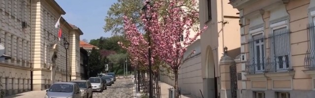 "Cilj urbanizacije Kosančićevog venca interes investitora"