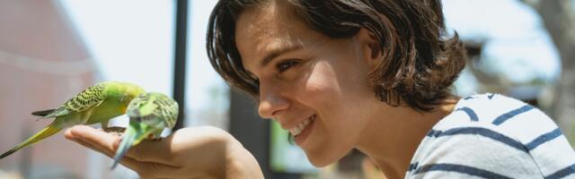 Top 5 ptica koje mogu pružiti svakoj ženi predivno druženje i zabavu