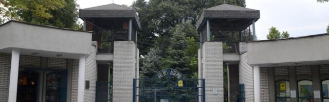 TRI NOVA ČLANA STIGLA U BEO ZOO-VRT: Oglasili se iz uprave, svi mogu pošalju predloge za njihova imena