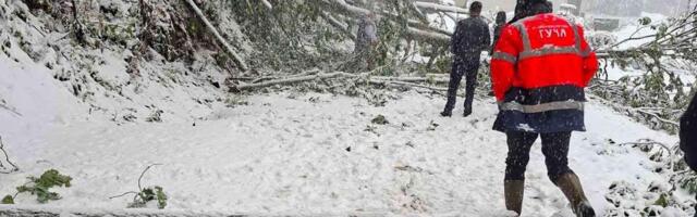 Minus 17 je u Srbiji ovog jutra, vanredno u 11 opština: Bez struje nekoliko hiljada domaćinstava!