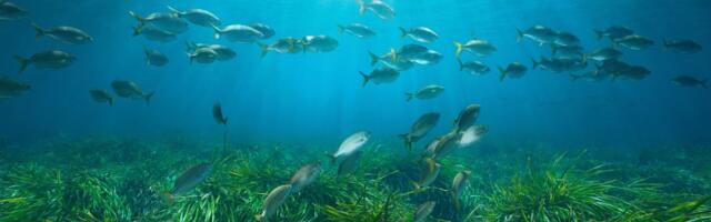 Sutra se obeležava Svetski dan voda: 2,2 milijarde ljudi u svetu nema pijaću vodu