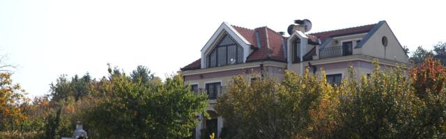 Glumica (62) IMA VILU U GROCKOJ OKRUŽENU ZELENILOM: U braku je sa  direktorom fudbalskog kluba, komšije iznenadile o njihovom odnosu: "Pričali su da su se RAZVODILI"