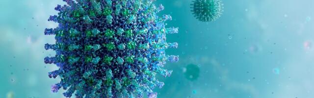Coronavirus: Croatia logs 3,071 new cases and 56 deaths