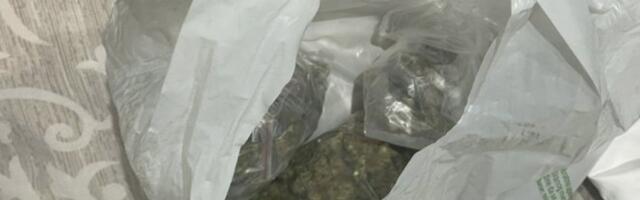 Uhapšen sa kesom marihuane