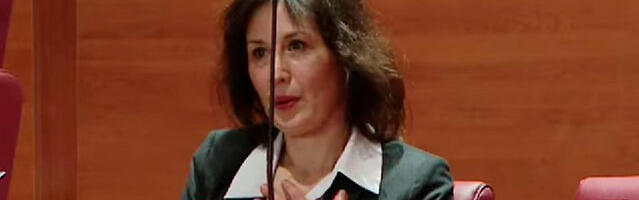 Hrvatsku poslanicu drmnula struja u parlamentu: Vrisnula, pa počela da trese ruku (VIDEO)