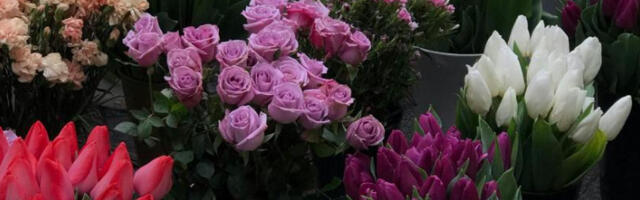 Лале и руже најомиљеније цвеће које се поклања
