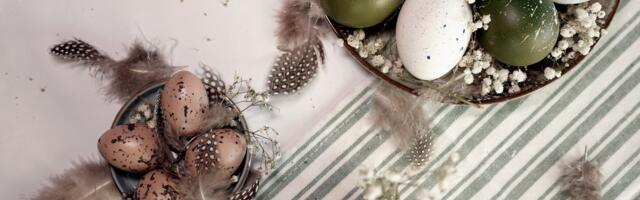 Maslinasto zelena jaja hit su ovog Vaskrsa: Prirodna tehnika farbanja koja izgleda kao iz časopisa