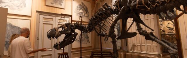 Dinosaurusi kakve do sada NIKAD NISMO VIDELI: U muzeju u Amsterdamu otvorena nesvakidašna izložba - ko ima priliku, ovo ne treba da propusti (VIDEO)