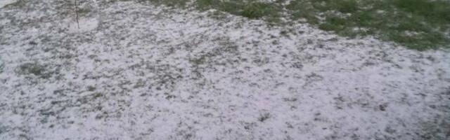 "Padao grad veličine lešnika": Jako nevreme pogodilo Čačak, dvorišta se zabelela za nekoliko minuta (FOTO)
