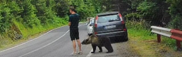 Snimak medveda koji se prišunjao turisti obišao svet: Gorska služba otkrila opasnost koju mnogi ne vide