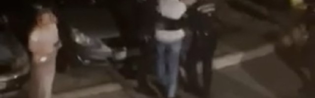 Ljubodrag Stojadinović: Utapanje Čede