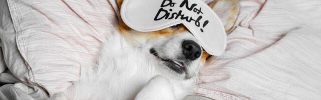 Ideje za posteljinu: Kako da imate luksuzni krevet, kao iz hotela