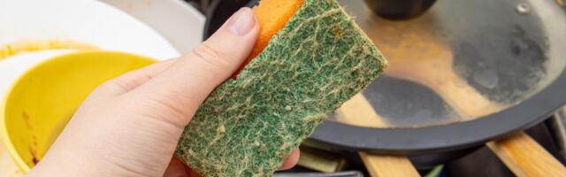 Koliko često treba MENJATI kuhinjske sunđere? Nauka konačno dala ODGOVOR - da li grešite celog života?