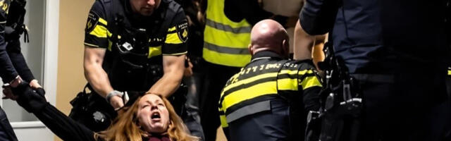 Узнемирујући снимак из Холандије: полиција проверава употребу силе над трудницом и њеним супругом