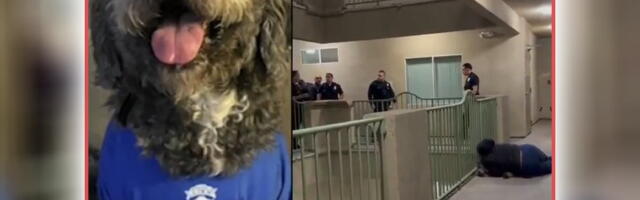 (UZNEMIRUJUĆE) POTRESAN SNIMAK OBIŠAO SVET: Žena slavila pobedu Njujork Niksa, policija došla zbog prijave buke, usledilo je nešto UŽASNO (VIDEO)