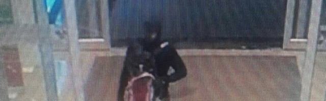 Iz muzeja za tri minuta odneli sef sa milion dinara