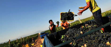 Hrvatska može očekivati pet milijardi eura od evropske reforme