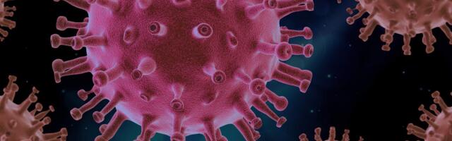 Molekul P-selektin koji može uzrokovati krvne ugruške u slučaju kovida ključan za nove tretmane