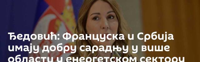 Ђедовић: Француска и Србија имају добру сарадњу у више области у енергетском сектору