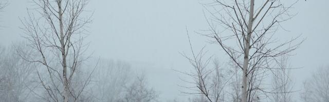 Sneg pada na Zlatiboru i Tari, zimska idila na Mokroj Gori