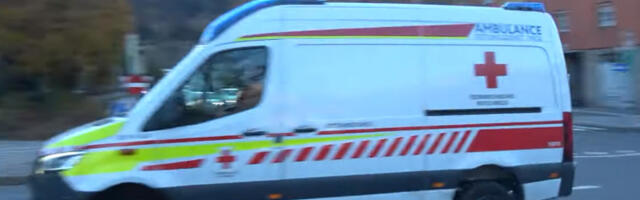 Užas na Uskrs u Nemačkoj, ima mrtvih: Srušilo se drvo dok su deca tražila jaja u šumi