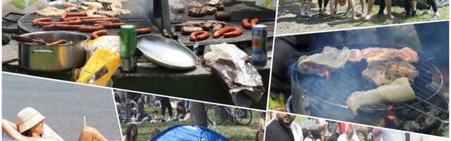 Važno upozorenje pred Prvi maj upućeno građanima Srbije: Ove stvari NIKAKO ne smete da radite ako planirate druženje u prirodi