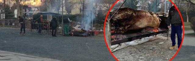 Mladenovčanima vo na ražnju da zamaskira SNS jaram