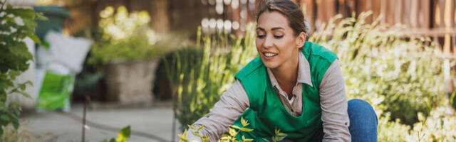 Čudni saveti za zdravu baštu