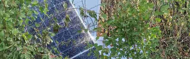 Dramatični prizori iz Golog Rida, gde je stradao čuvar Solarne elektrane