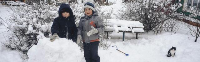 Zimski raspust nije za učenje, ali jeste za razvoj mozga: Dr Ranko Rajović otkriva kako da stimulišete decu