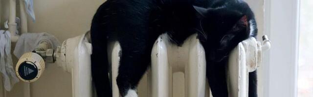 Deo Banatića bez grejanja zbog havarije