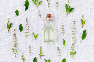 Чајеви и тунктуре који утичу на смањење холестерола