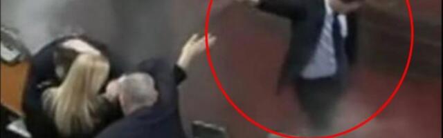 SUZAVCEM PRSKALI TRUDNICU! Opozicija napravila haos u SKUPŠTINI: Ovakvo divljaštvo još nije viđeno! ČITAJTE U SRPSKOM TELEGRAFU