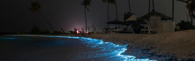 Bioluminiscentne plaže Maldiva i Šri Lanke: More koje svetli noću