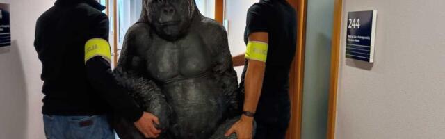 Policija "spasila" ogromnog plastičnog gorilu "otetog" iz restorana