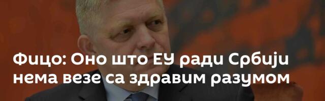 Фицо: Оно што ЕУ ради Србији нема везе са здравим разумом
