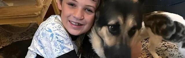 Mališan žrtvovao život da spasi majku od pomahnitalog ubice! Vezao joj ruke i noge, potom izbo dečaka, a onda...