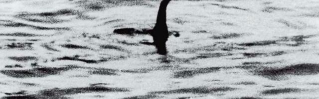 Lovci na mitsko čudovište: "Loh Nes krije celu porodicu, a ne samo jedno stvorenje!"